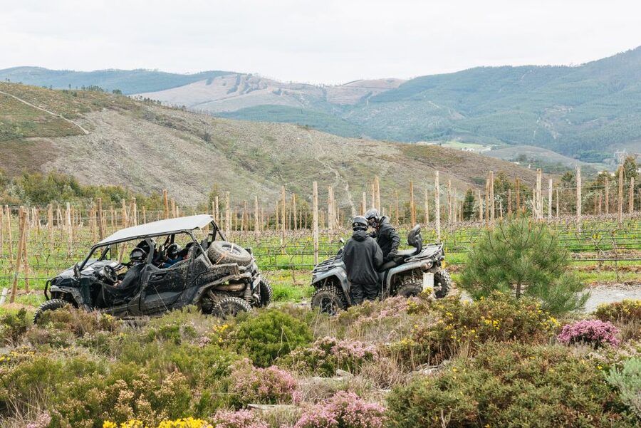 From Porto: Off-Road Buggy Adventure - Why this three-hour ride is different from ordinary Porto sightseeing