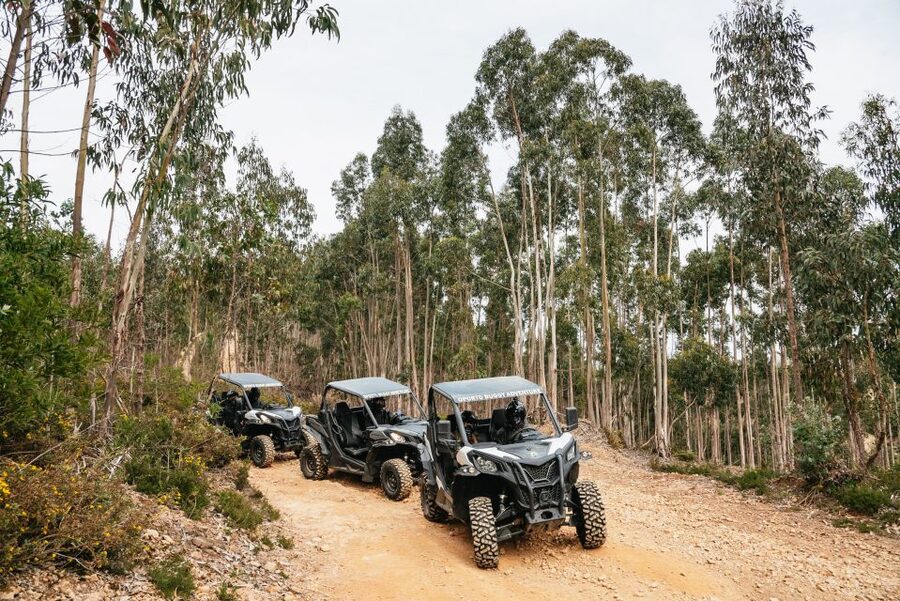 From Porto: Off-Road Buggy Adventure - Rocky tracks through the Porto countryside