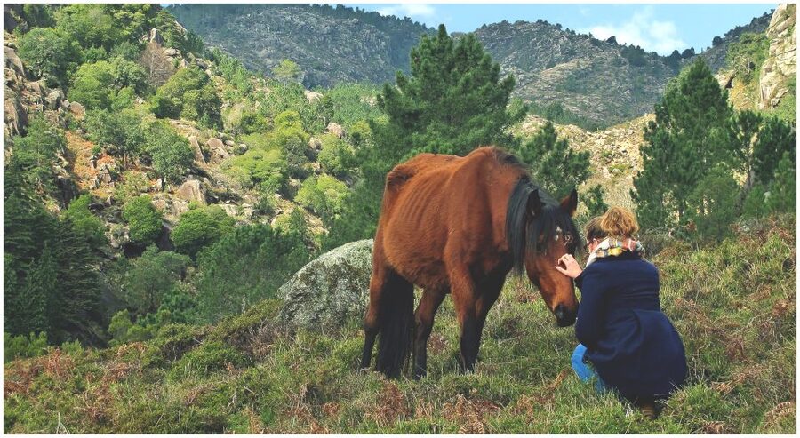 From Porto: Peneda-Gerês National Park Tour with Lunch - A generous local lunch with wine