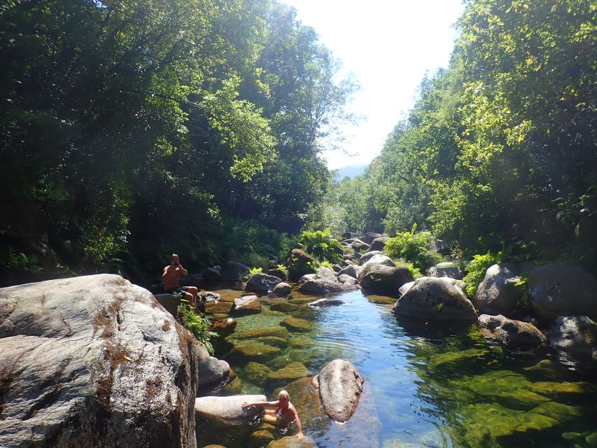 From Porto: Peneda-Gerês National Park Tour with Lunch - What the guides add to the experience