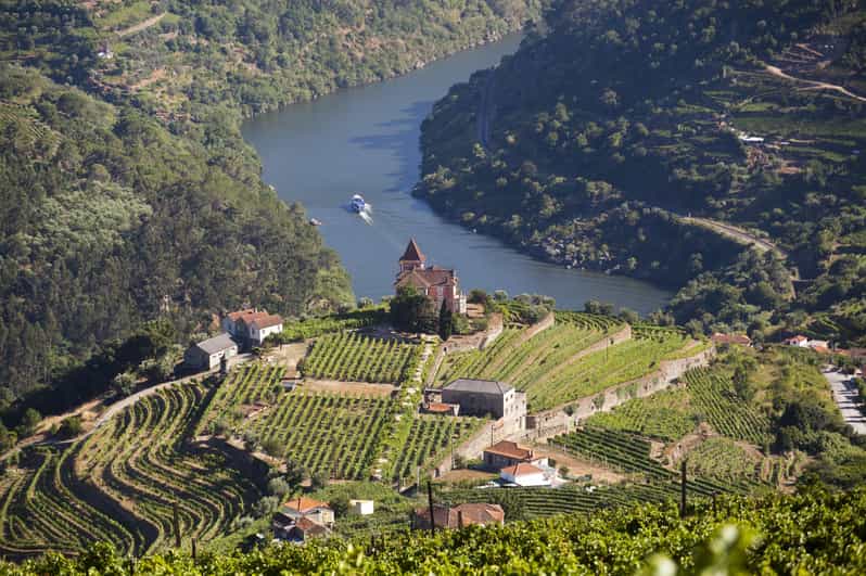 From Porto: Premium Douro Valley Small-Group Wine Tour - Why the Douro Valley Works Best as a Full-Day Trip