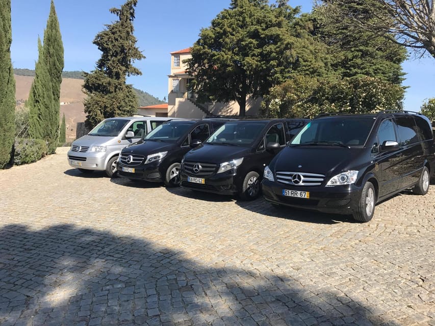 From Porto: Premium Douro Valley Small-Group Wine Tour - Should You Book It?