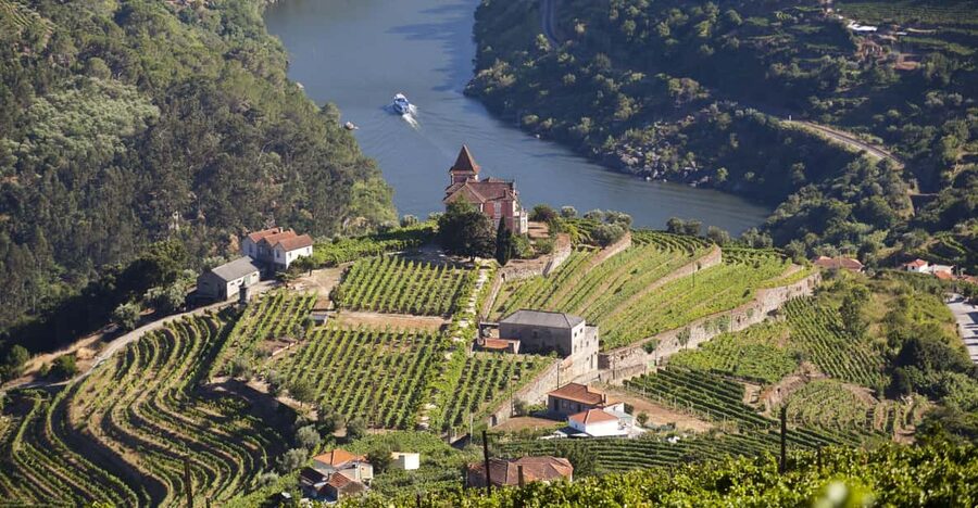 From Porto: Premium Douro Valley Small-Group Wine Tour - First Winery: How Douro Wine Is Made