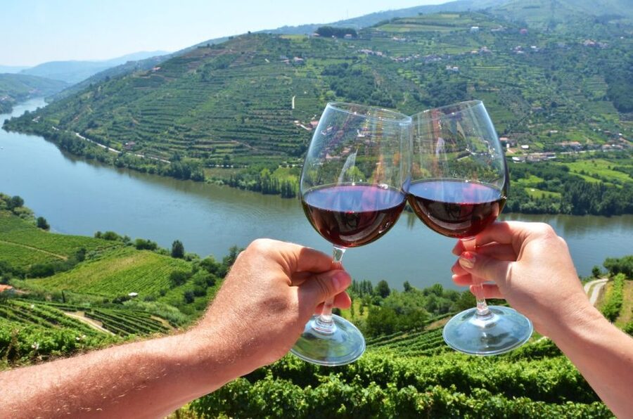 From Porto: Private Douro Valley Tour with Booking Service - Who should book this Douro Valley tour?