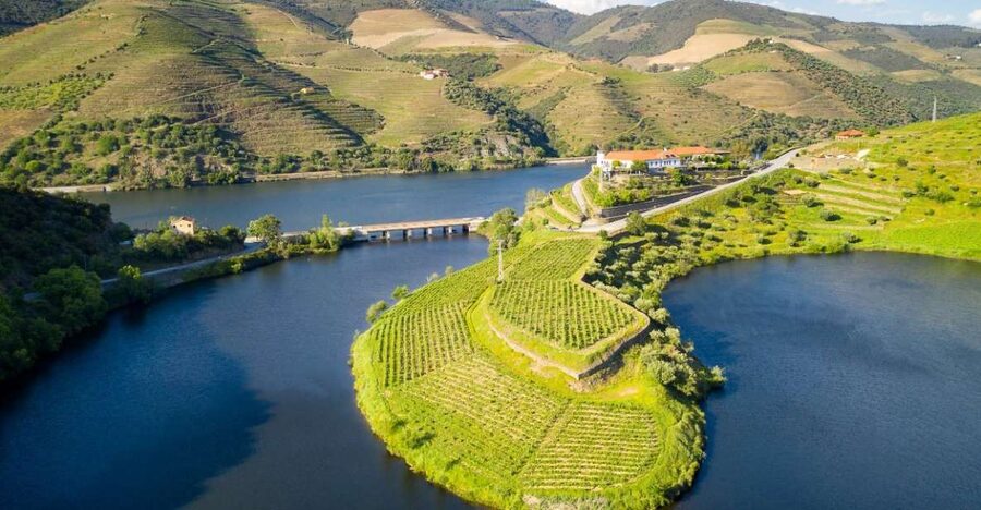 From Porto: Private Douro Valley Tour with Booking Service - Why the Douro works better by private car
