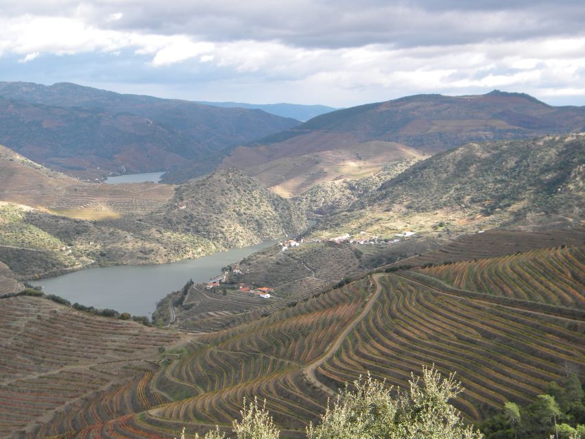 From Porto: Private Douro Valley Tour with Booking Service - Peso da Régua: lunch, wine, and a slower look