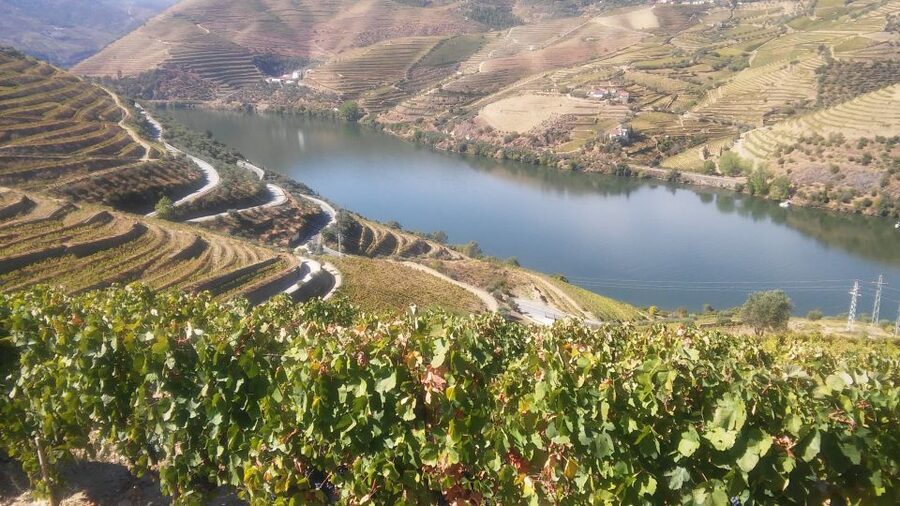 From Porto: Private Douro Valley Tour with Cruise and Wine - Pinhão brings together the valley’s best-known sights