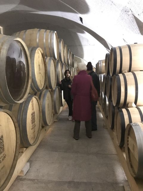 From Porto: Private Douro Valley Tour with Cruise and Wine - Two wineries show different sides of Douro wine