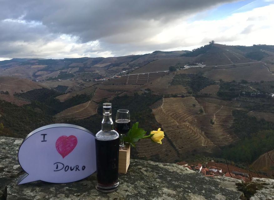 From Porto: Private Douro Valley Tour with Cruise and Wine - What makes the guide important