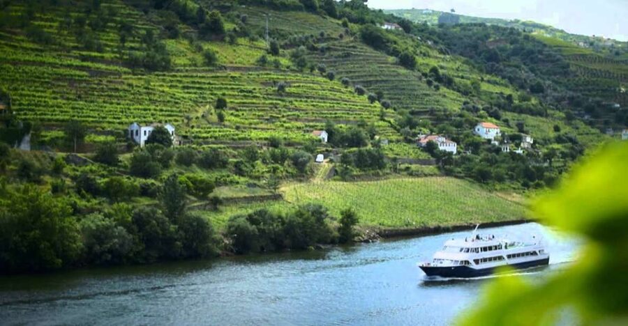 From Porto: Régua to Porto River Cruise with Lunch on Board - Who will enjoy this Douro cruise most?