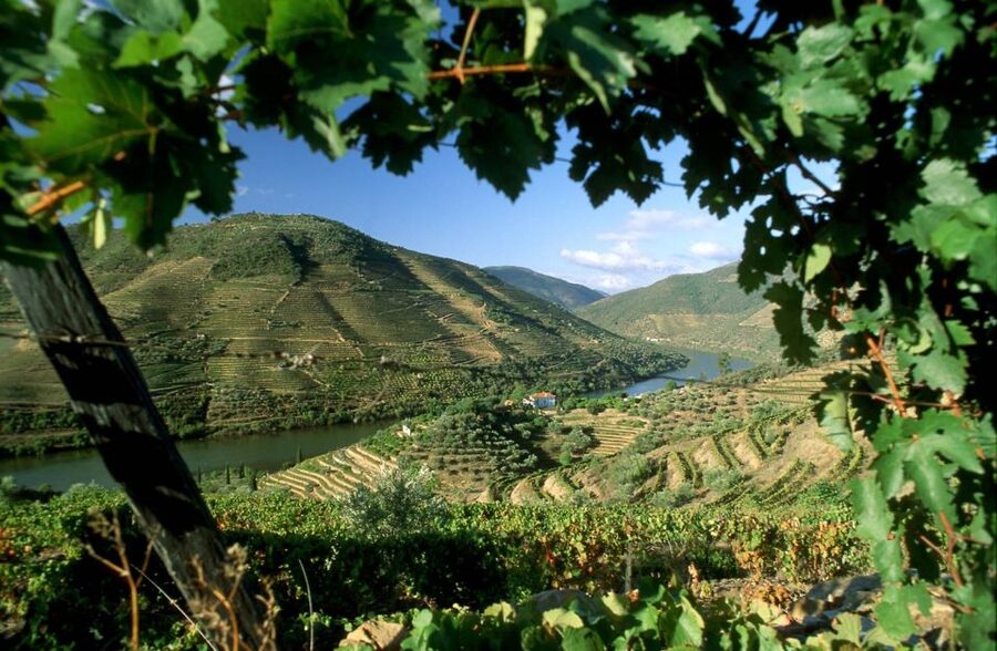 From Porto: Régua to Porto River Cruise with Lunch on Board - Why the Douro River makes this a worthwhile day trip