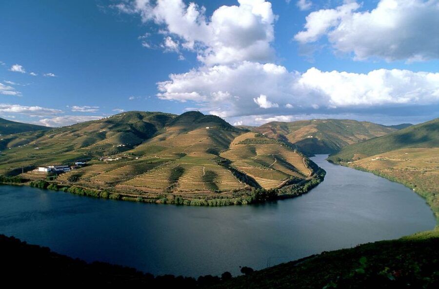 From Porto: Régua to Porto River Cruise with Lunch on Board - Six hours downstream through the Douro Valley