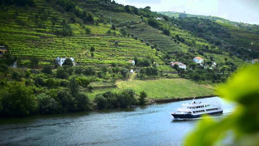 From Porto: Régua to Porto River Cruise with Lunch on Board - Passing through Carrapatelo and Crestuma-Lever