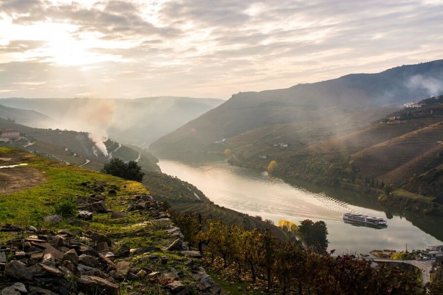 From Porto: Régua to Porto River Cruise with Lunch on Board - What lunch onboard is really like