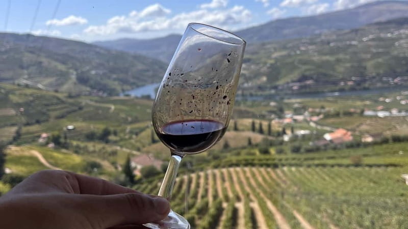From Porto: Tastings at 2 Wineries, Chef's Lunch & Boat Tour - Small vans, personal guides, and group size