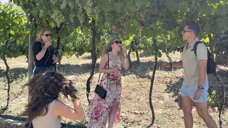 From Porto: Tastings at 2 Wineries, Chef's Lunch & Boat Tour - What the $153 price includes