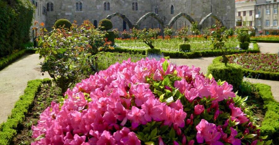 From Porto: Wonders of Braga & Guimaraes Private Day Trip - Braga Cathedral and the old city