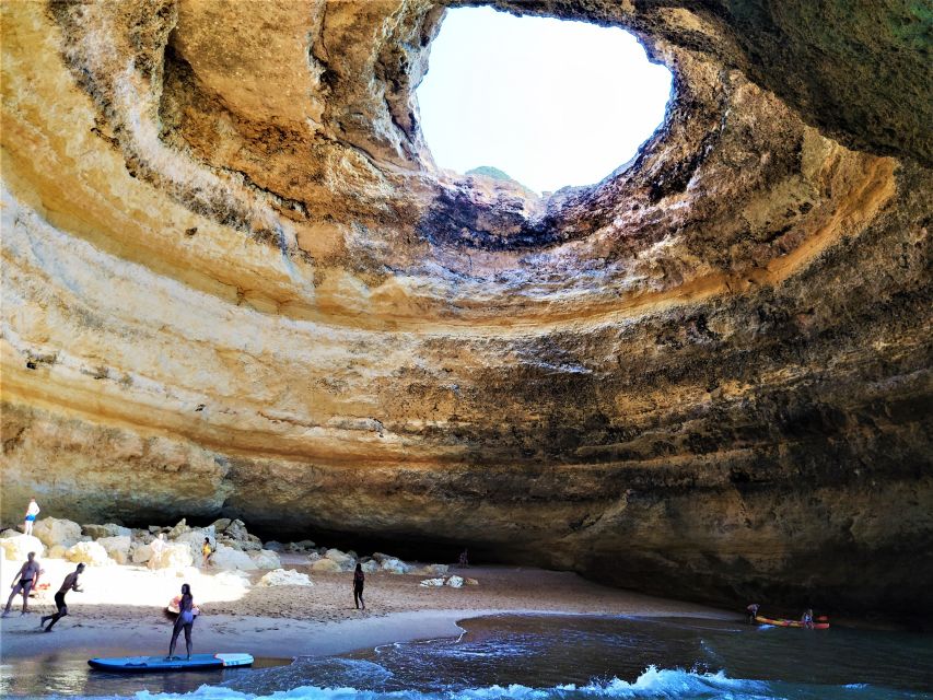 From Vilamoura: 2.5-Hour Benagil Cave and Dolphins Boat Tour - Searching for wild dolphins in open water