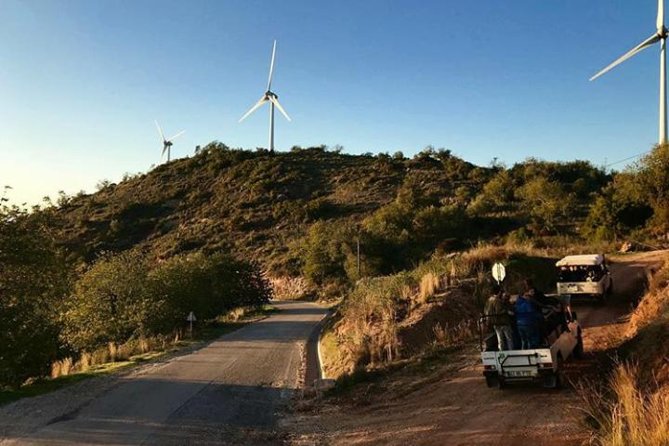 Full Day Jeep Safari in Algarve - Countryside near Tunes: plants, animals, and farm country