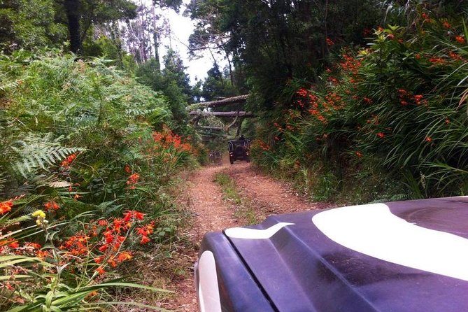 Full-Day Jeep Safari West: Fanal, Porto Moniz, Seixal, Cabo Girão - Cabo Girão adds height and a little extra cost