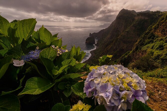Full Day Madeira Island Tour - Open Roof - Poça das Lesmas shows Madeira’s volcanic edge