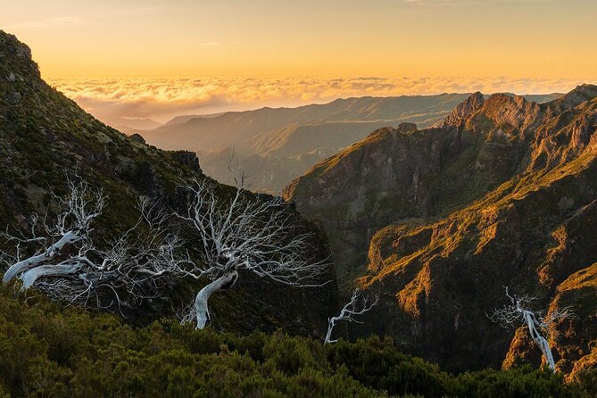 Full Day Madeira Island Tour - Open Roof - Ribeira da Janela adds a quieter coastal view