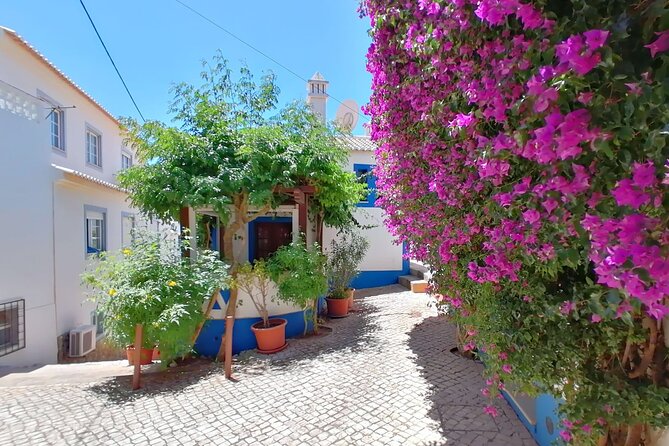 Full Day Private Tour in Western Algarve - Lagos market, lunch, and a well-planned walking route