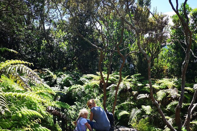 Full-Day Private Tour of Faial - The final panorama over Horta and nearby islands