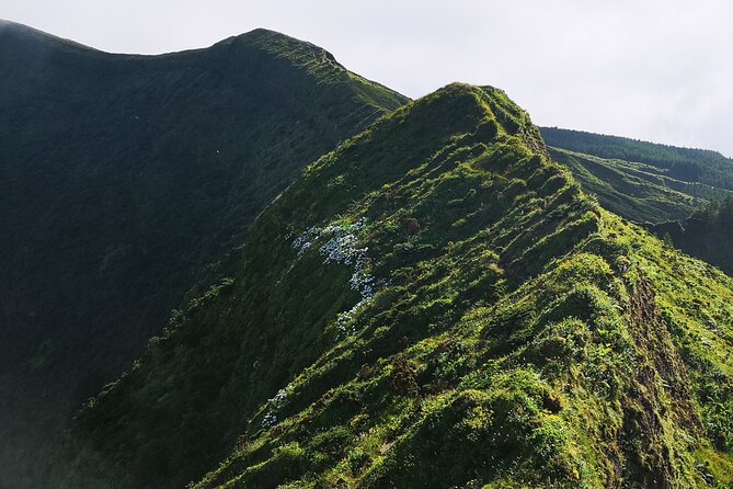 Full-Day Private Tour of Faial - What the $149.78 price means