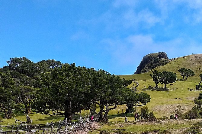 Full-Day Small Group Jeep Safari Tour from Funchal - Why the guides make a difference