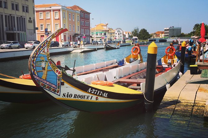 Full Day Tour from Porto to Coimbra and Aveiro with River Cruise - Guides, driving, and the small-group advantage