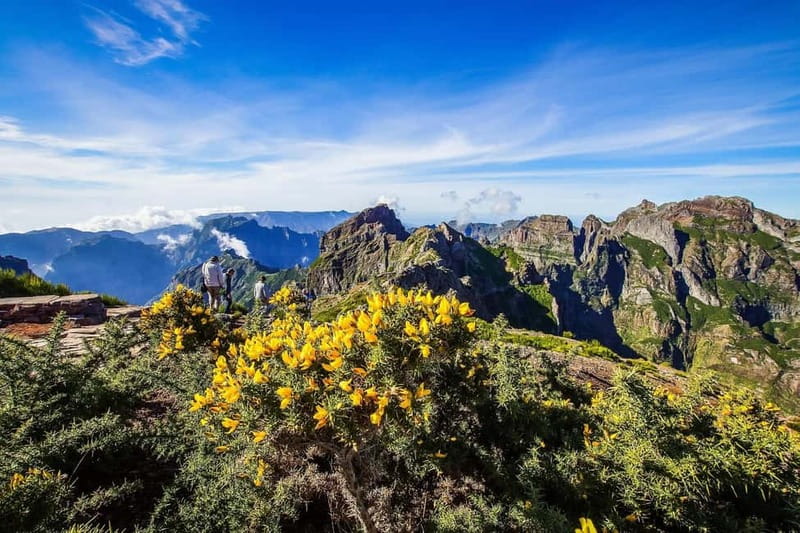 Funchal: 4x4 Jeep Trip to the East and Northeast of Madeira - Paredão and the first mountain views