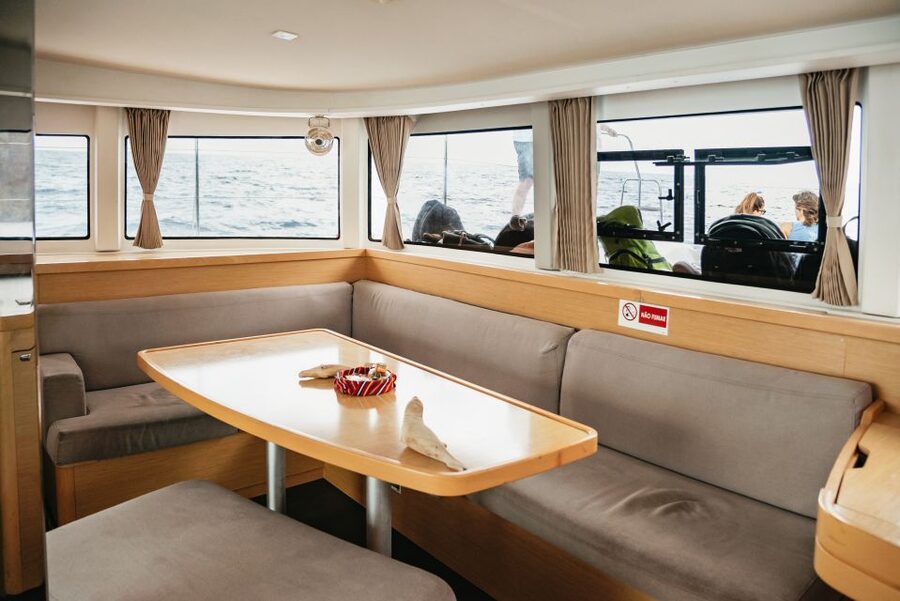Funchal Bay: Dolphin & Whale Watch Luxury Catamaran Cruise - Practical planning for your day in Funchal