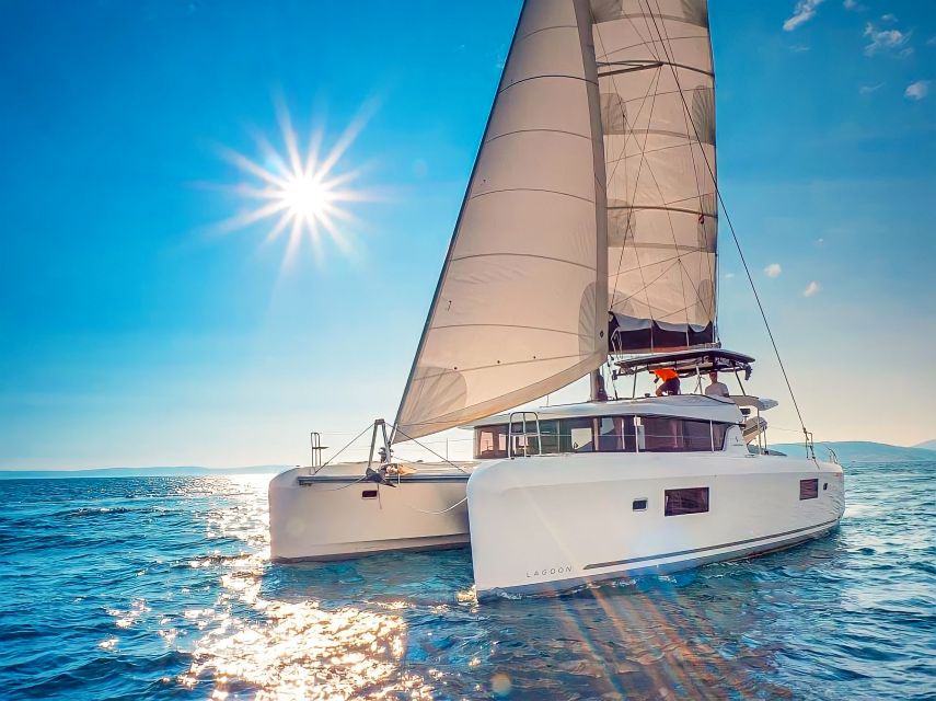 Funchal Bay: Dolphin & Whale Watch Luxury Catamaran Cruise - Searching for dolphins and whales in open water