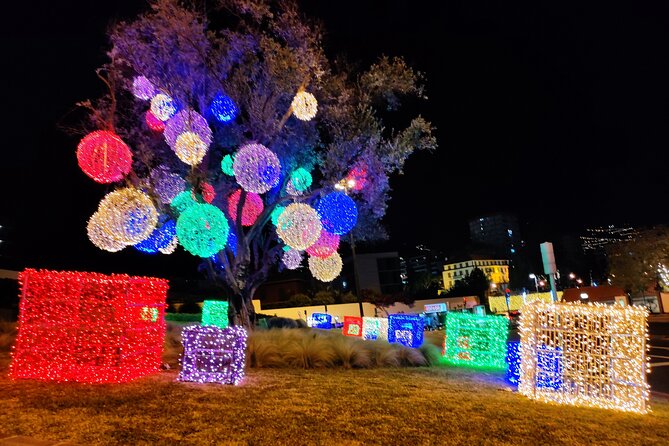 Funchal Christmas lights sightseeing night tour - Why the private format matters