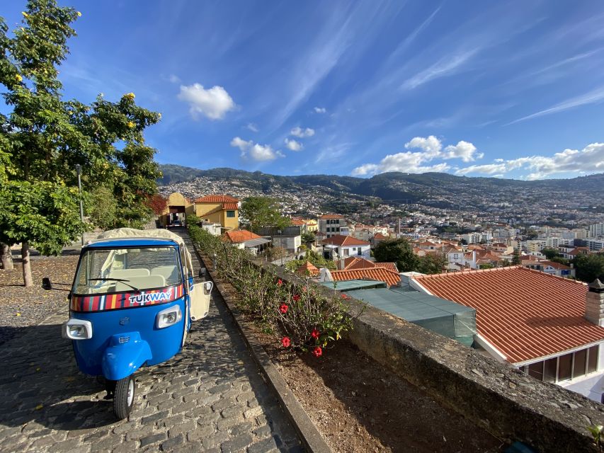 Funchal: City Highlights Tuk-Tuk Tour - From Funchal streets to Pico dos Barcelos