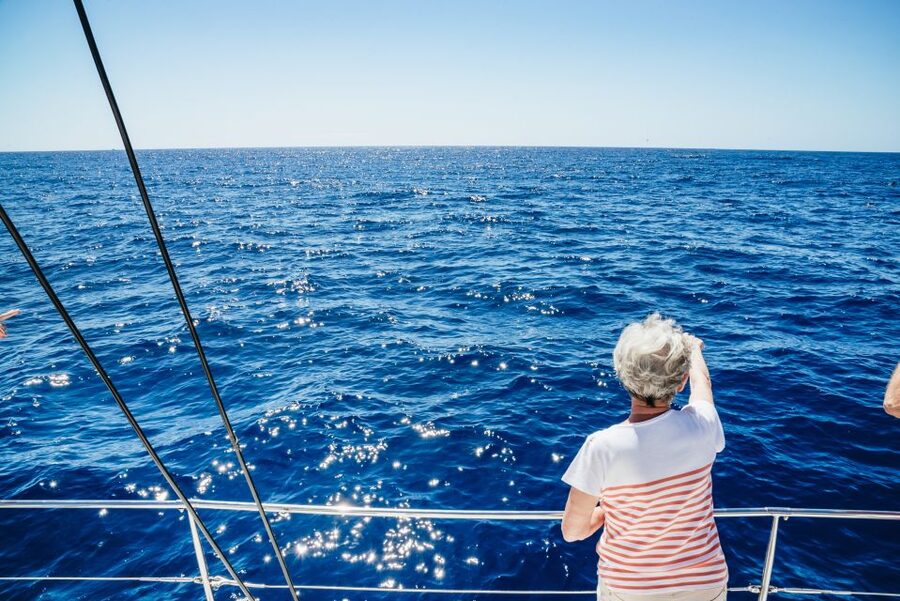 Funchal: Dolphin and Whale Watching by Luxury Catamaran - Searching the bay for dolphins and whales