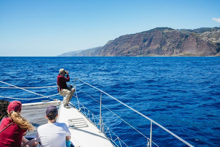 Funchal: Dolphin and Whale Watching by Luxury Catamaran - Cabo Girão from sea level