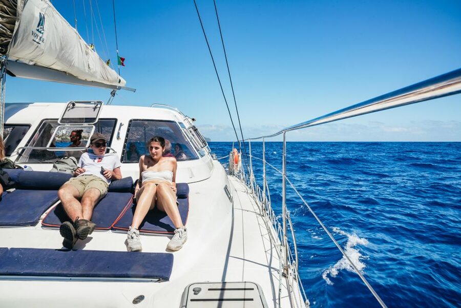 Funchal: Dolphin and Whale Watching by Luxury Catamaran - What the $47 price really buys you
