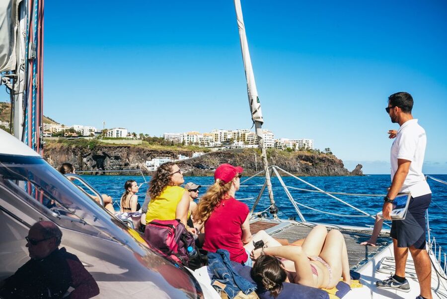 Funchal: Dolphin and Whale Watching by Luxury Catamaran - Practical tips for a smoother day