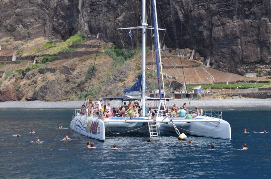 Funchal: Dolphin and Whale Watching Catamaran Cruise - Should you book this Madeira cruise?