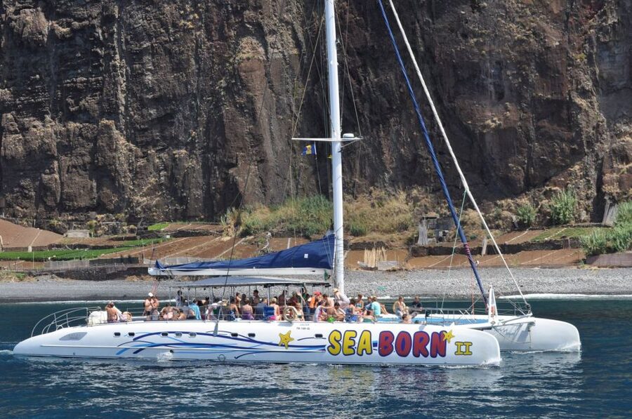 Funchal: Dolphin and Whale Watching Catamaran Cruise - A catamaran built for comfort, not speed