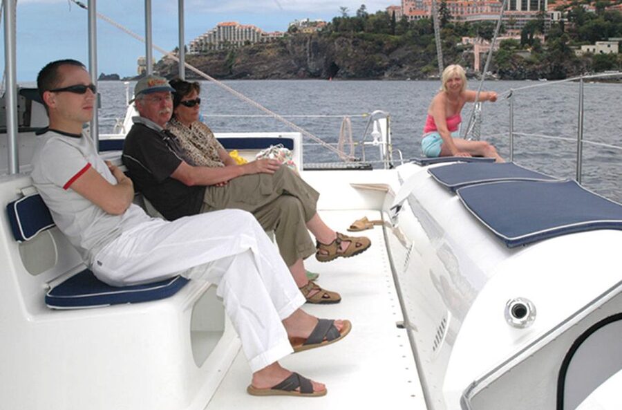 Funchal: Dolphin and Whale Watching Catamaran Cruise - Watching dolphins and whales in Madeira’s waters