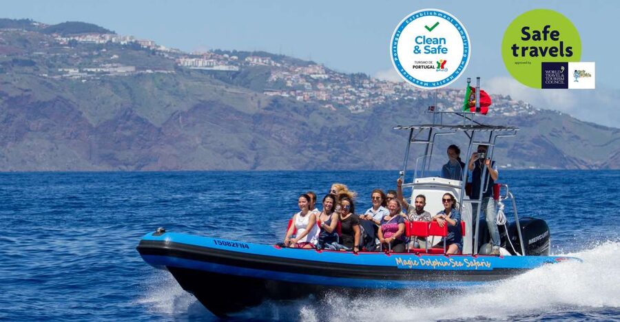 Funchal: Dolphin and Whale Watching Cruise - Why this Funchal wildlife cruise feels different