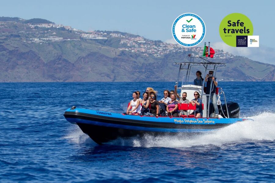 Funchal: Dolphin and Whale Watching Cruise - From the Magic Dolphin kiosk to open water