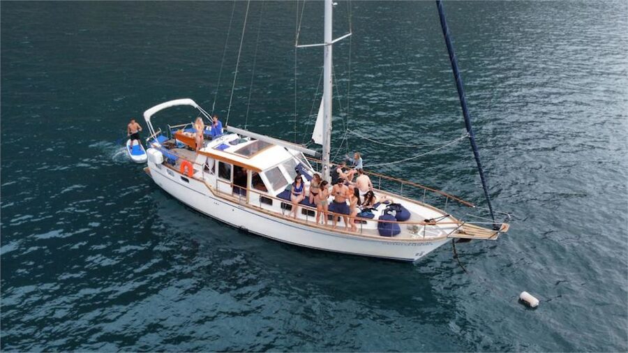 Funchal: Dolphin and Whale Watching Sailing Trip - Key points to know