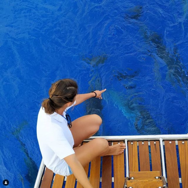 Funchal: Dolphin and Whale Watching Sailing Trip - Cabo Girão from the water