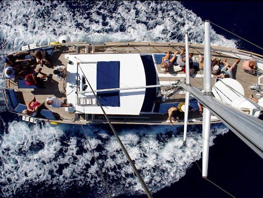 Funchal: Dolphin and Whale Watching Sailing Trip - A smaller boat and a friendlier atmosphere
