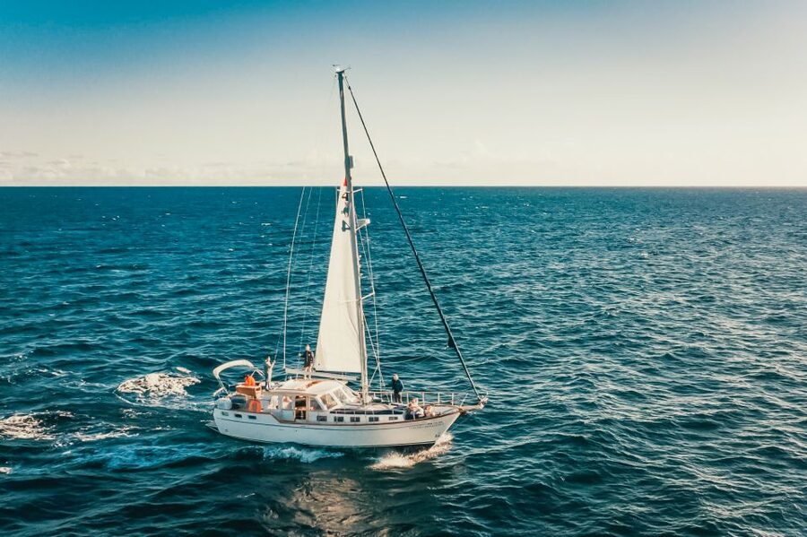 Funchal: Dolphin and Whale Watching Sailing Trip - What the $47 price includes