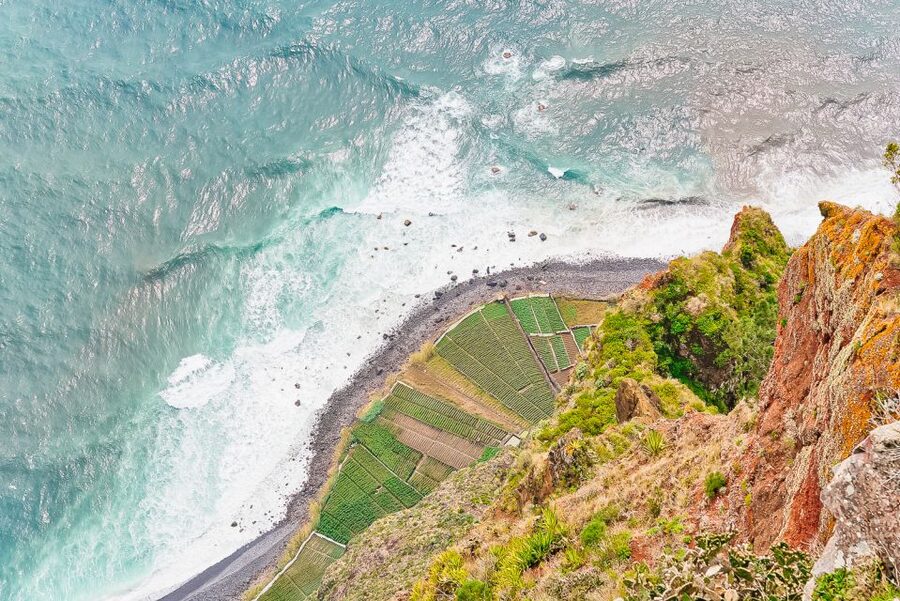 Funchal: Dolphin and Whale Watching Sailing Trip - Watching for wildlife up to three miles offshore